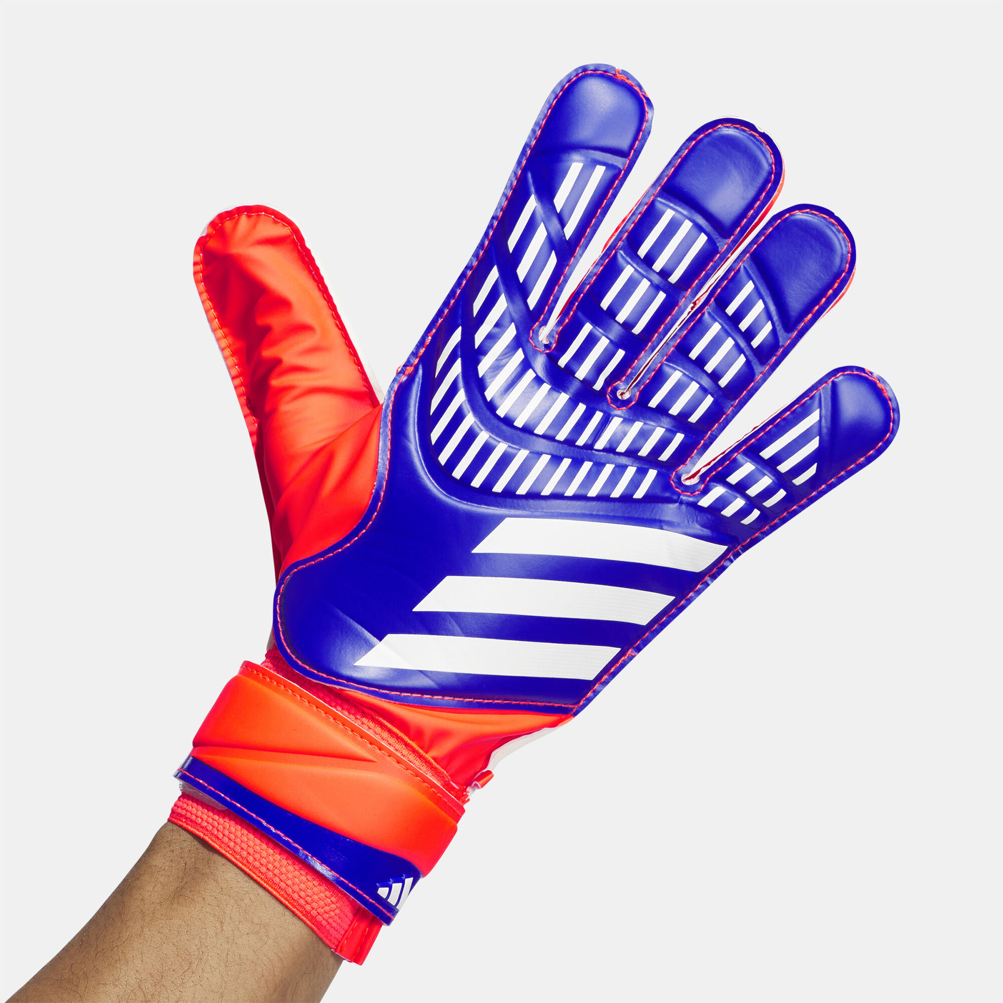 Buy adidas Predator Football Goalkeeper Gloves Blue in Kuwait SSS