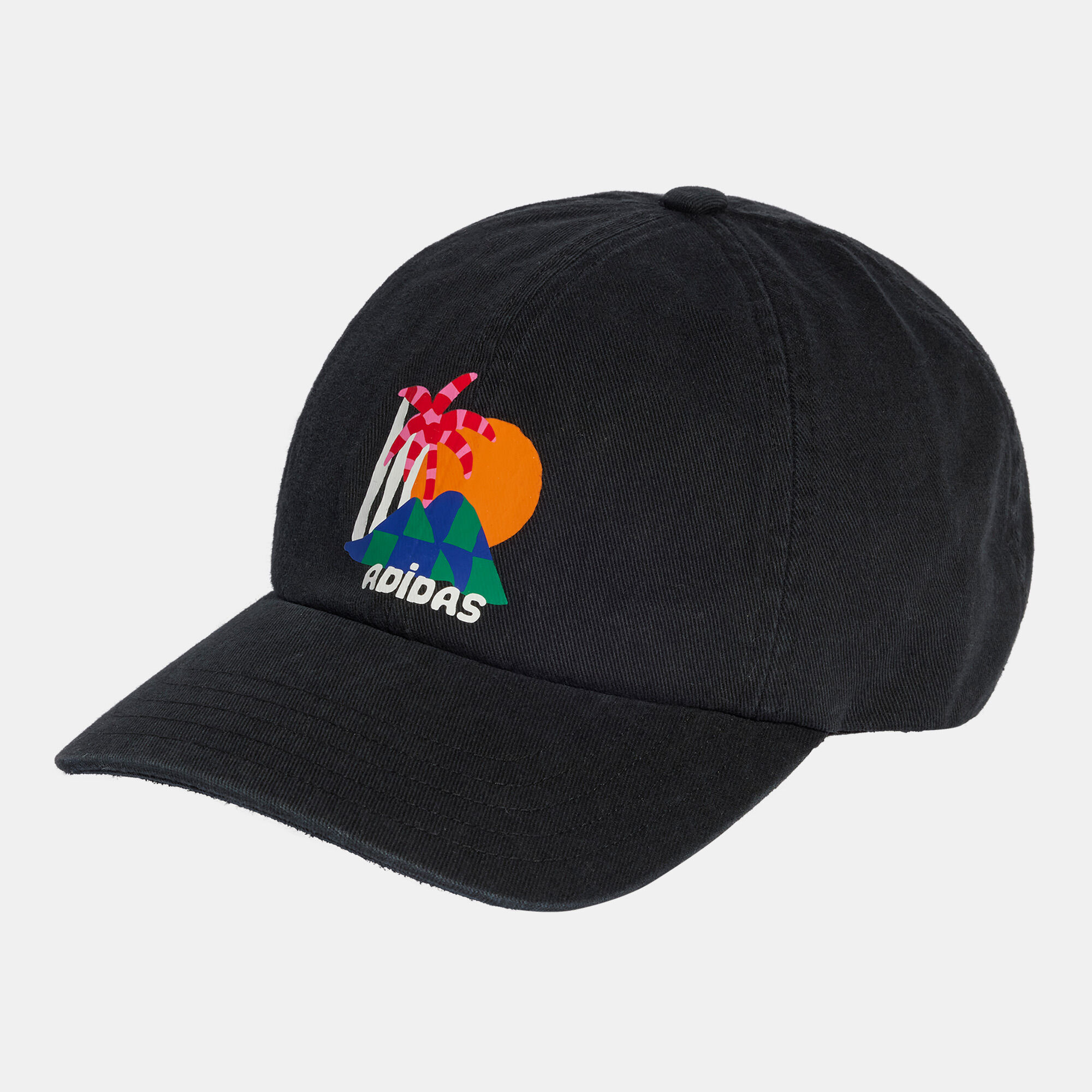 Rainbow adidas hat best sale