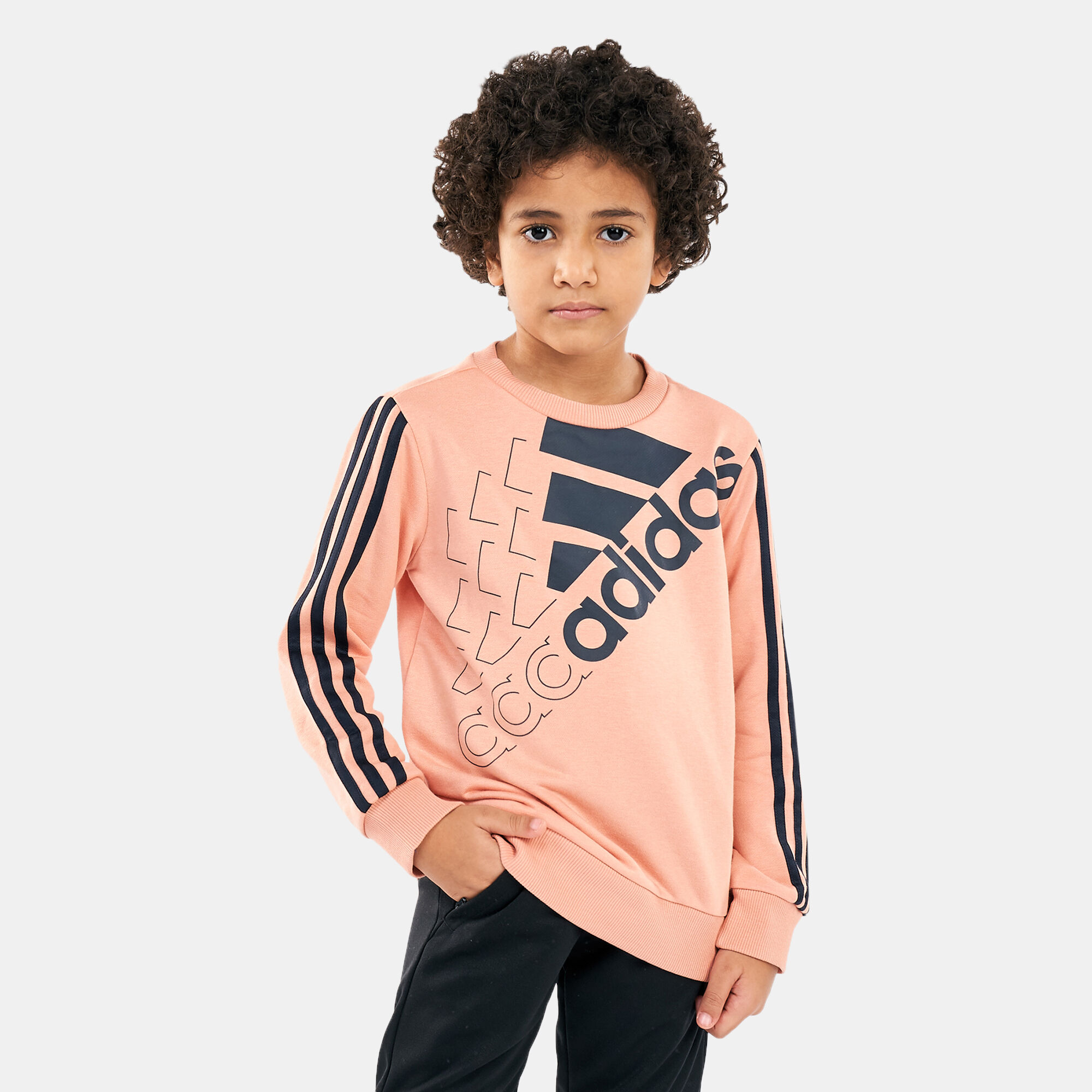 Buy adidas Kids Essentials Logo Sweatshirt Blue in Kuwait SSS