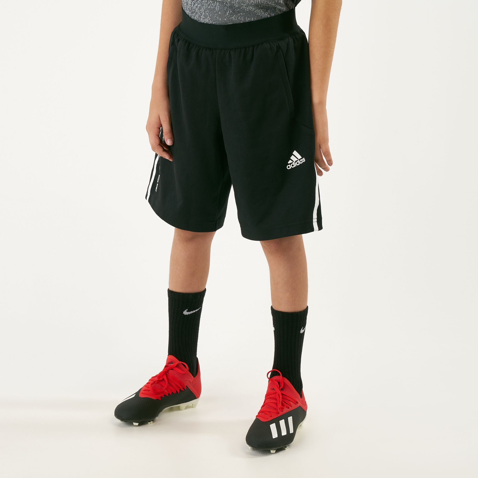 Adidas predator climalite shorts discount