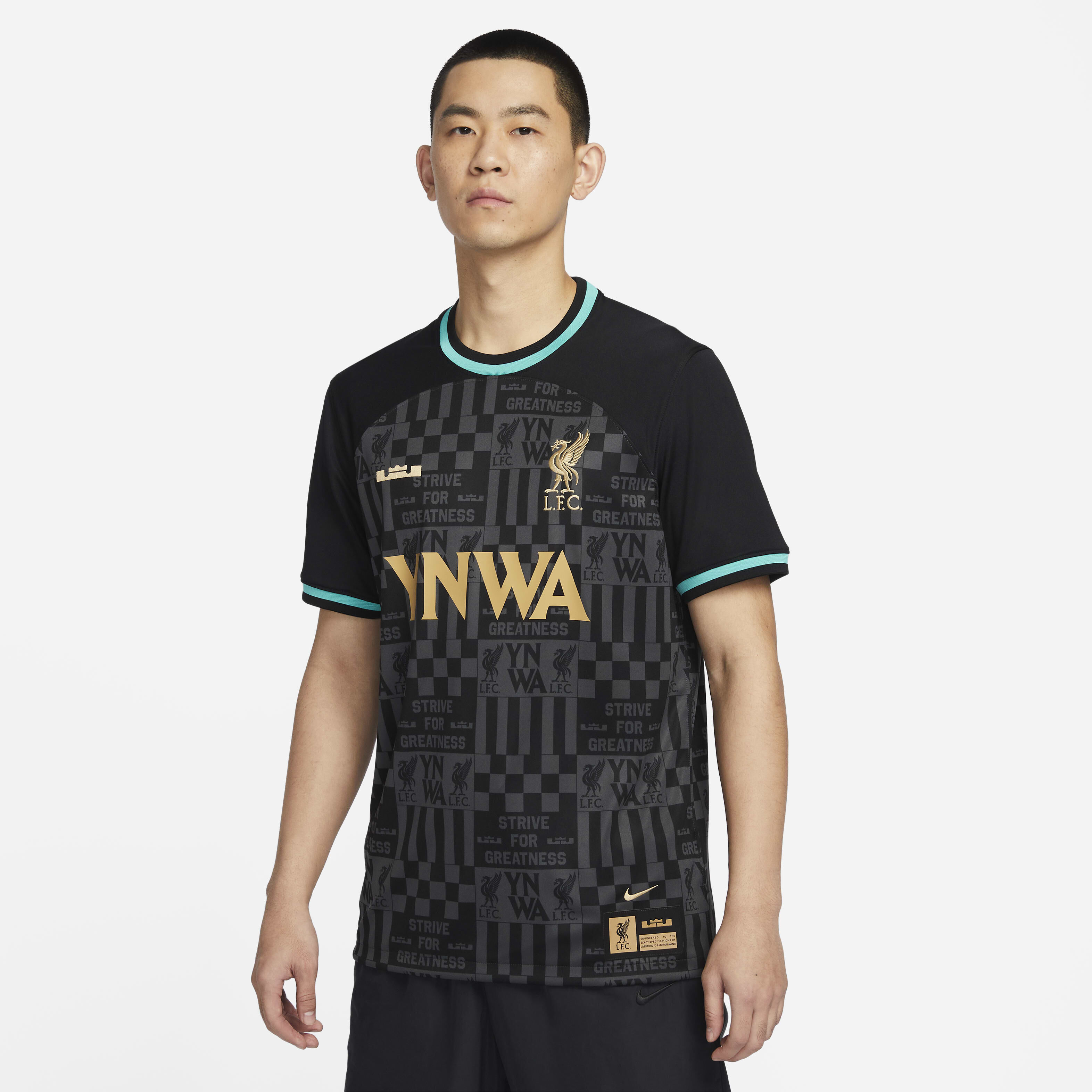 Lebron dri fit shirt on sale