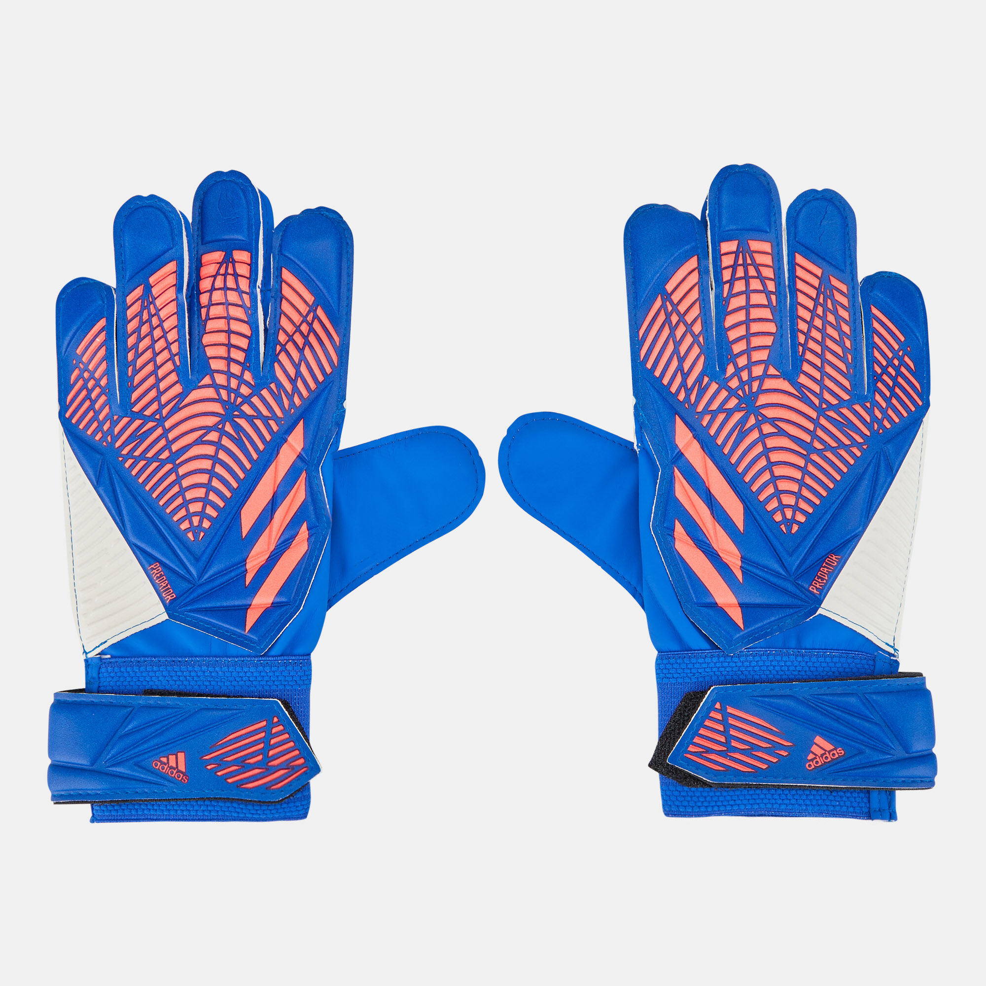 Buy adidas Men s Predator Training Goalkeeper Gloves Blue in