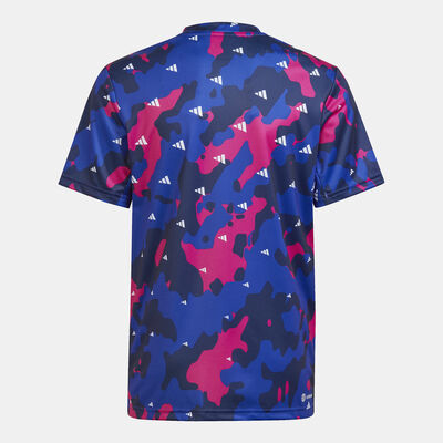 adidas Kids' Train Essentials Seasonal AEROREADY Print T-Shirt Blue