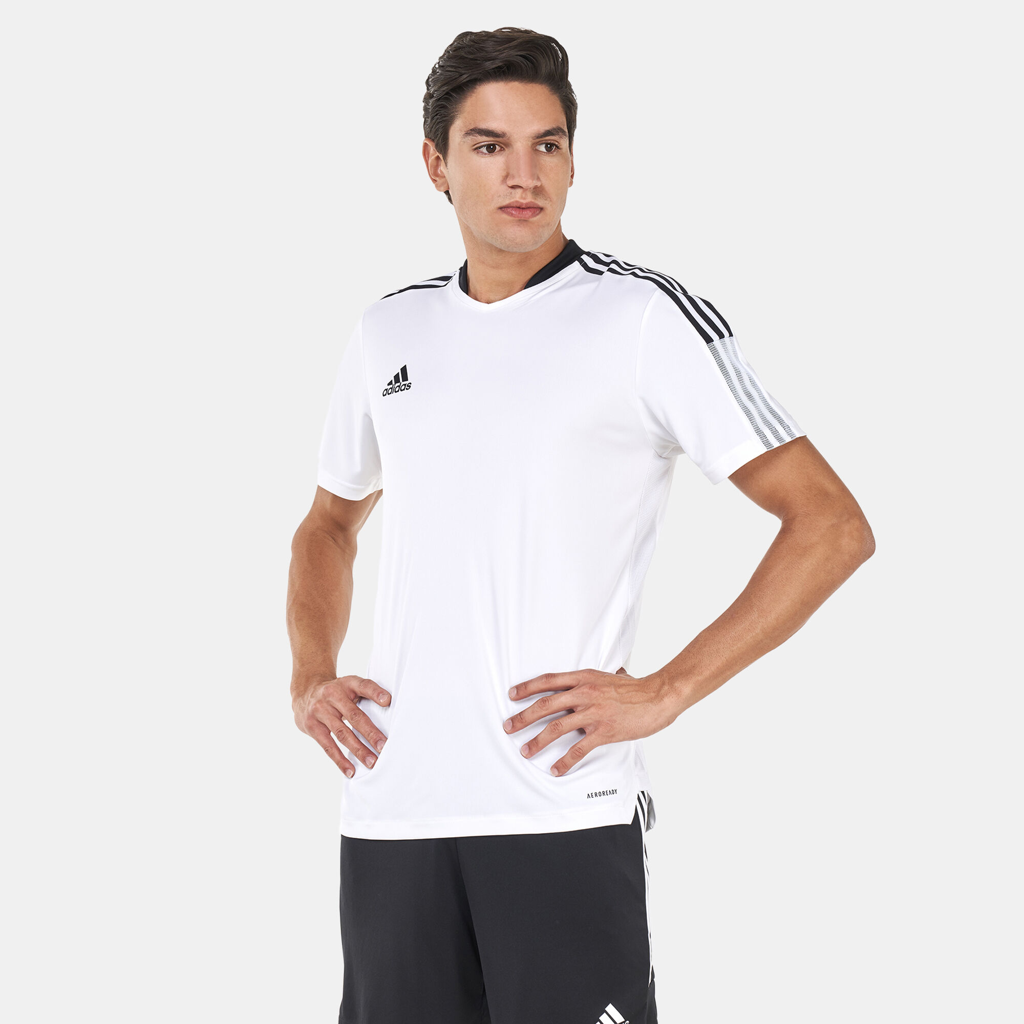 S16146 sales