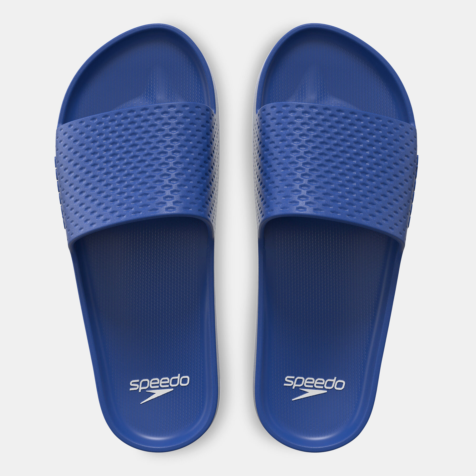 Speedo slippers price on sale
