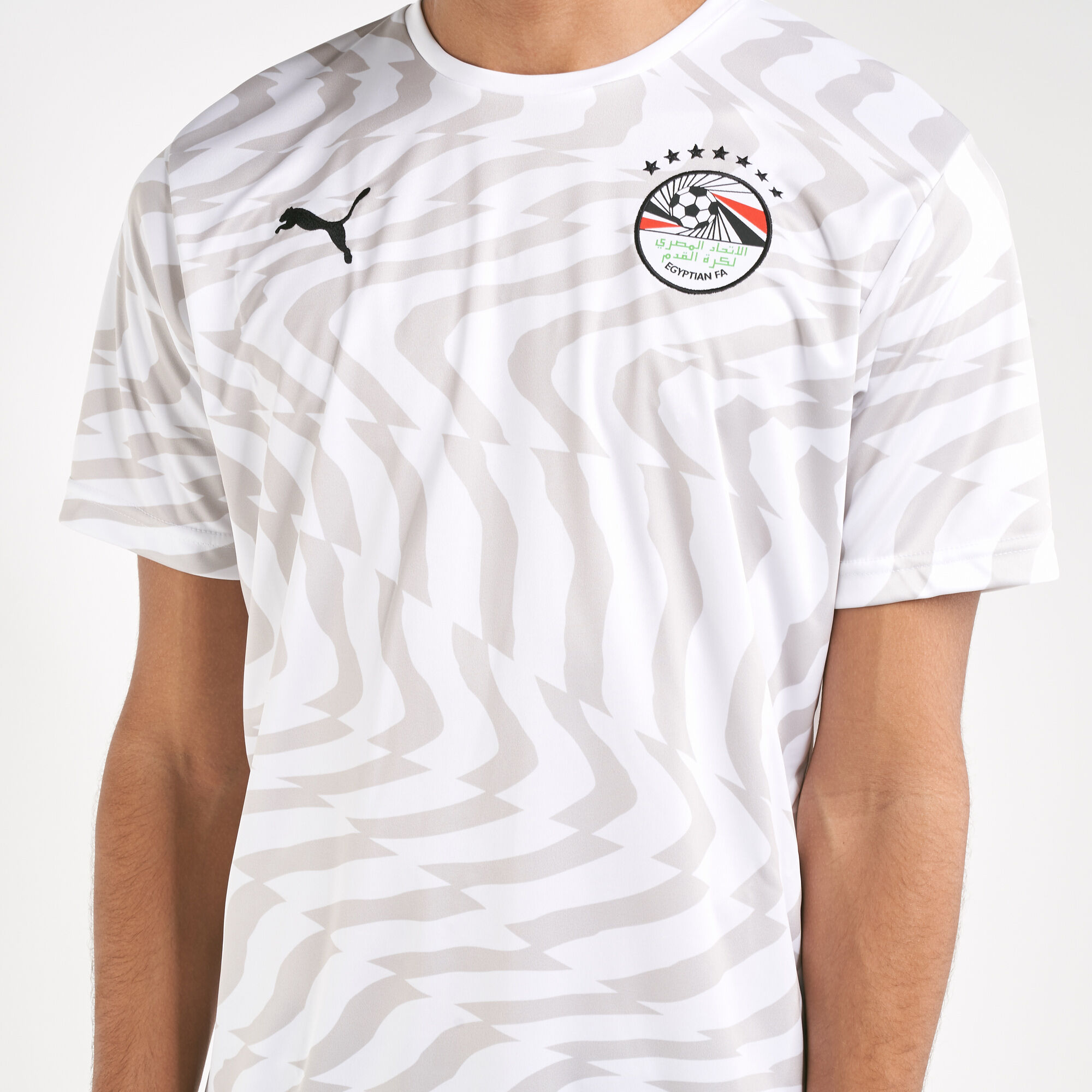 Puma egypt 2019 sales