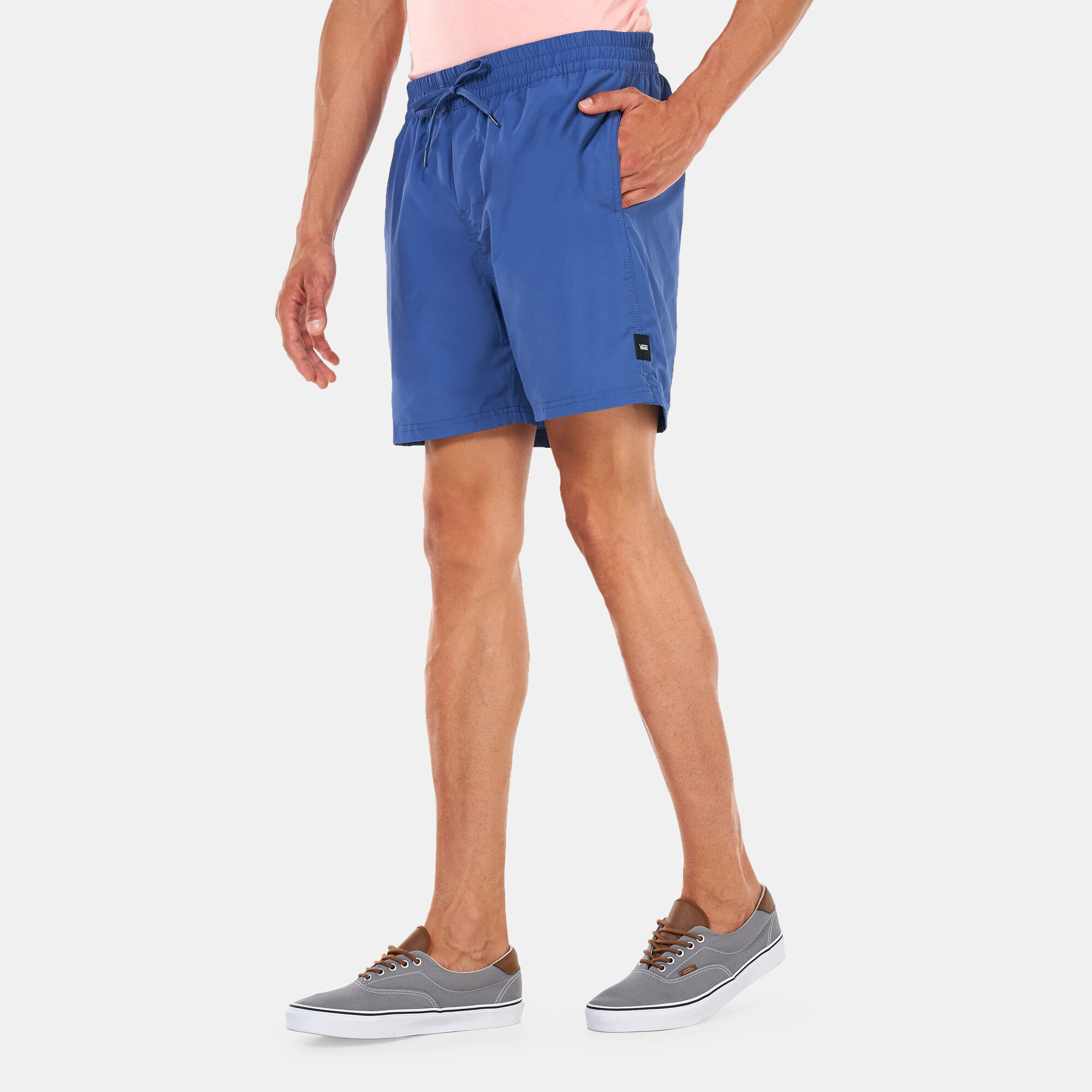 Vans light blue primary volley shorts online
