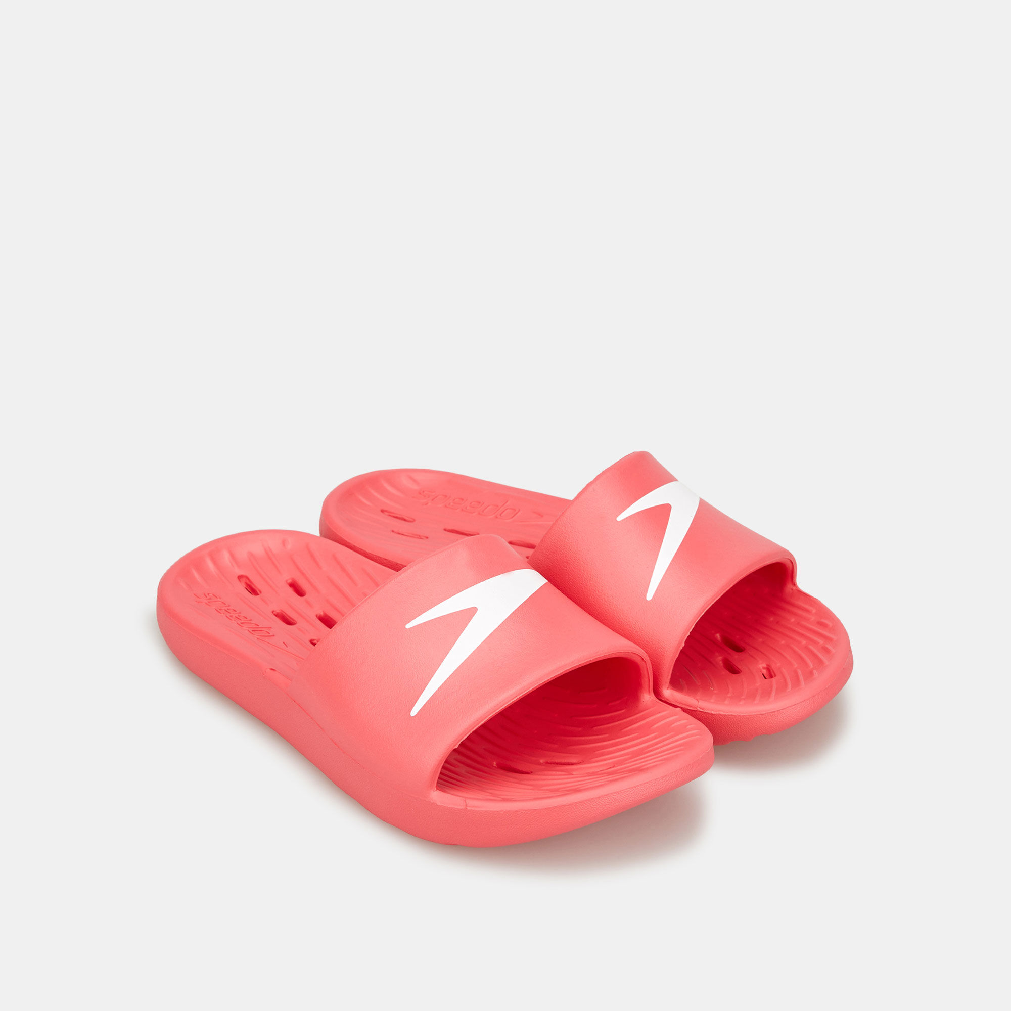 Speedo deals slippers online