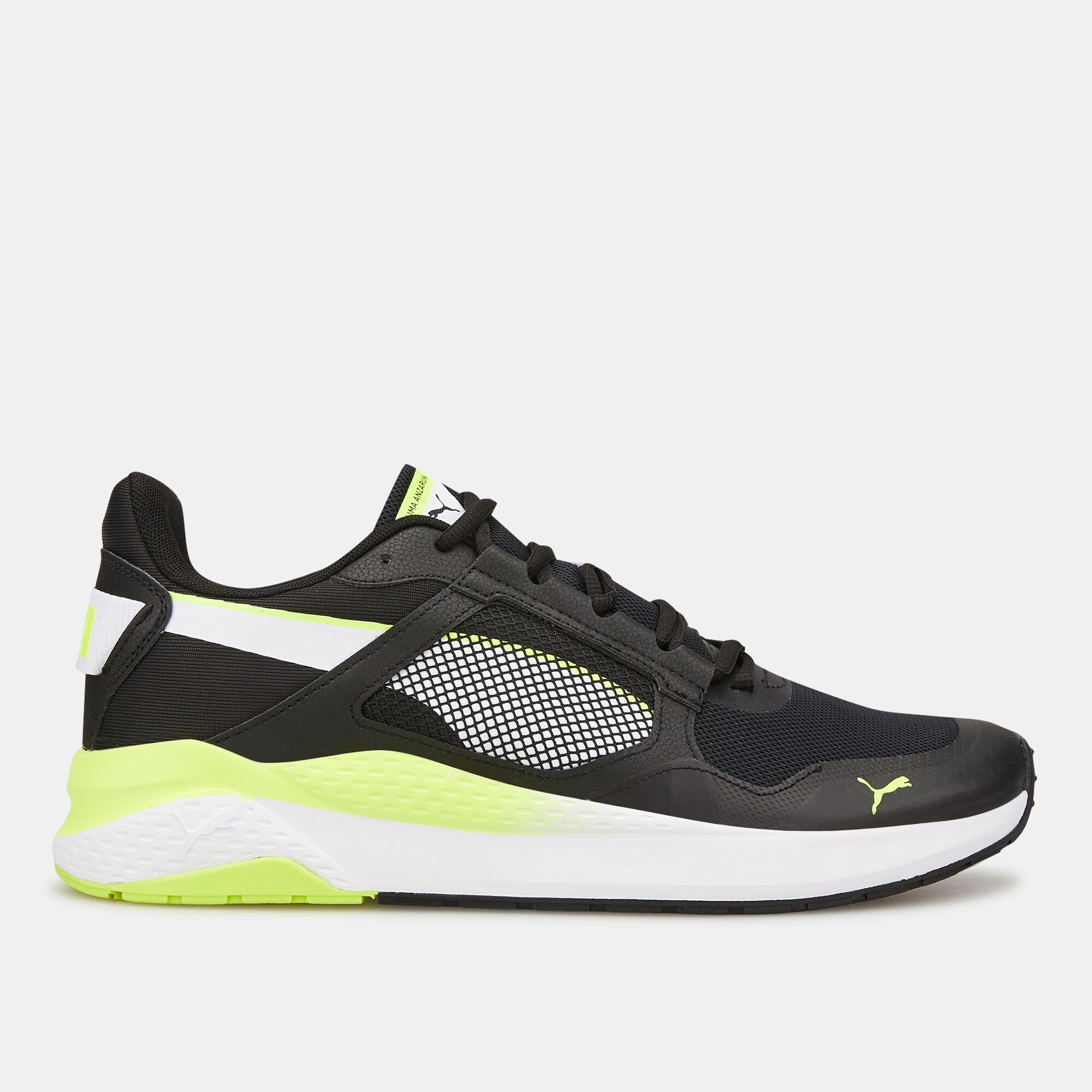 Puma grid clearance